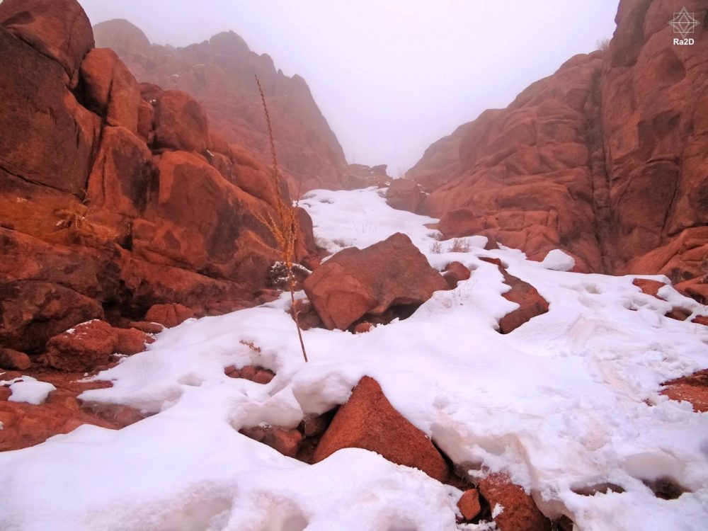 Mount Sinai & St.catherine Monastery Group tour